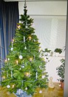 Tannenbaum Kunstbaum 210 groß Nordrhein-Westfalen - Rösrath Vorschau