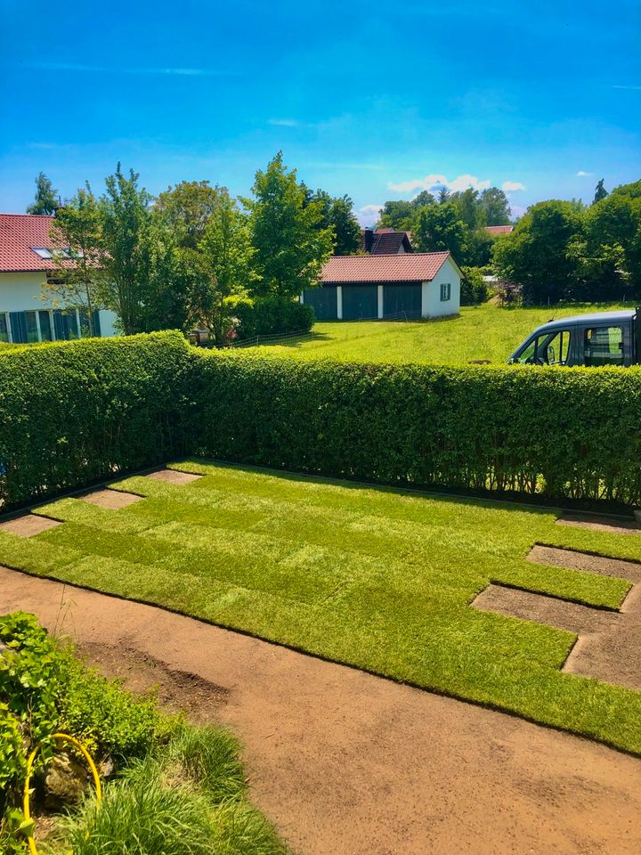 Gartenbau,Pflastern,Gartengestaltung,Bagger,Hecke,Terrasse,Garten in München