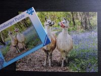 RAVENSBURGER Premium PUZZLE 100 XXL 12 941 6 LAMA, B 49 L 36 c m Bochum - Bochum-Südwest Vorschau