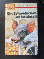 Lucy Daniels - Ein Schweinchen im Laufstall Nordrhein-Westfalen - Troisdorf Vorschau