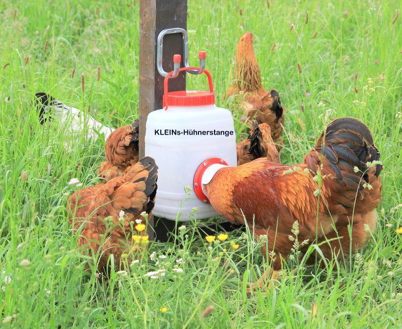 Set 10l Futterautomat + 10l Hühnertränke Hühnerstall Futerspender in Göcklingen