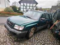 Schlachte Subaru Forester sf1 Nordrhein-Westfalen - Meschede Vorschau