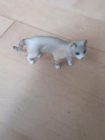 Schleichkatze 13932 europ. Katze Rheinland-Pfalz - Neustadt an der Weinstraße Vorschau