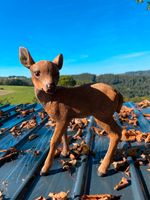 Kleines Reh Gartenfigur Deko Rheinland-Pfalz - Waldbreitbach Vorschau