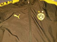 Puma x BvB Dortmund jacke Saarland - Losheim am See Vorschau