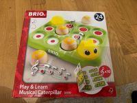 Brio Musikspiel Holzspielzeug Catepillar Raupe Nürnberg (Mittelfr) - Nordstadt Vorschau