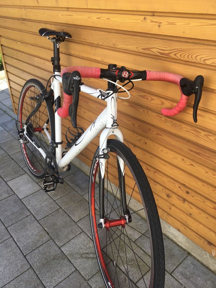 C14 Crossrennrad 56cm in Bensheim