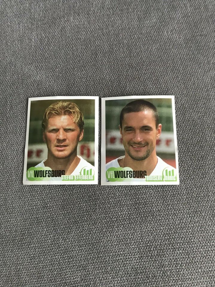 PANINI SAMMELBILDER FUSSBALL BUNDESLIGA 2002 + 2003. 40.STK in Hemmingen