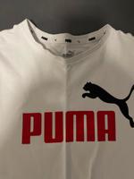 Puma t Shirt Hessen - Heusenstamm Vorschau