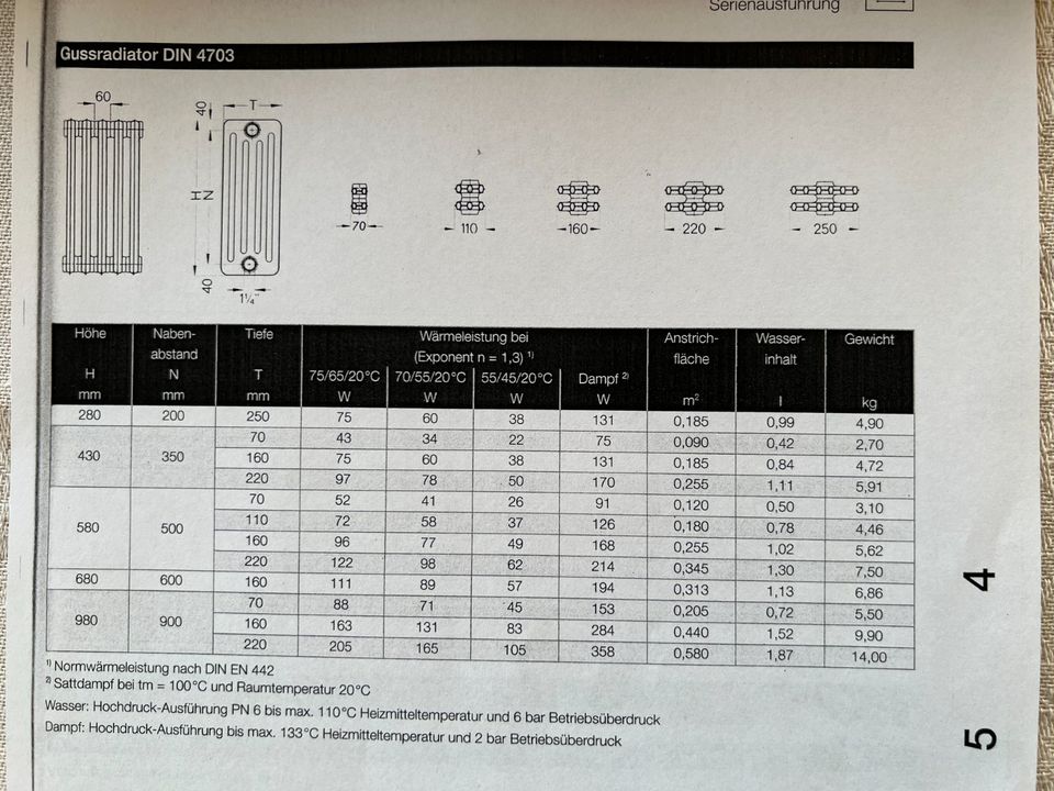 Gussradiator DIN 4703 BH 280 x T 250mm 2 Bl.. a 19 Glieder in Templin