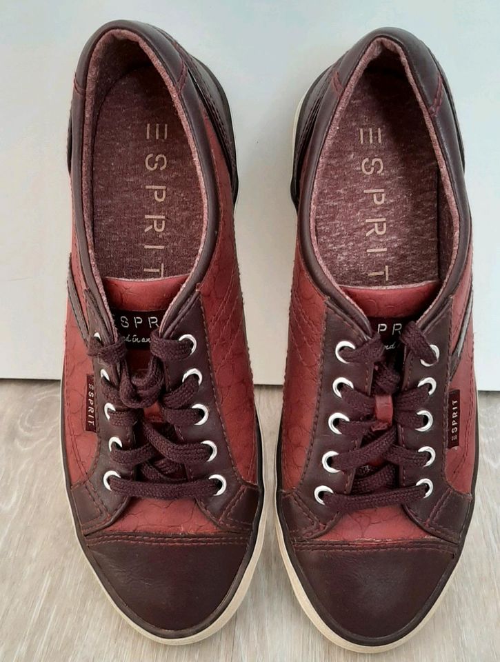 Esprit Sneaker Gr. 37 bordeaux rot Turnschuhe Halbschuhe in Bremerhaven