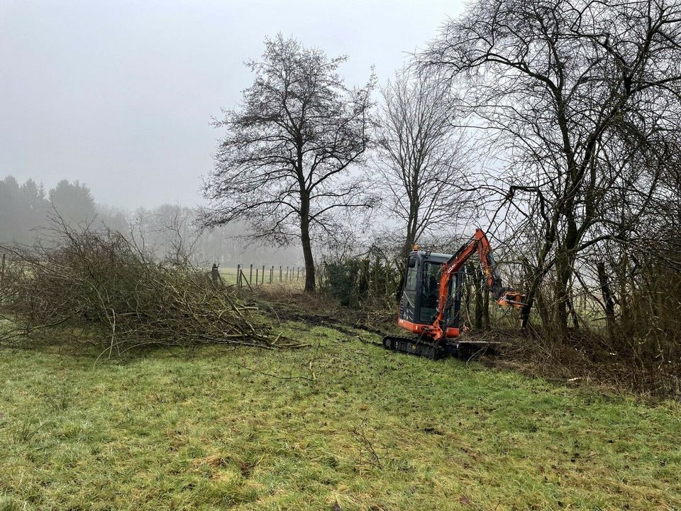 Baumpflege Baumfällung mit Hubarbeitsbühne/ Hebebühne 30 Meter in Hermannsburg