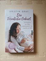 Schwangerschaftsbuch / die friedliche Geburt Bayern - Gefrees Vorschau