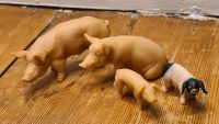 Schleich Schweine-Set 13202, 13118, 134636 und 13217 Mitte - Wedding Vorschau