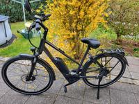 Pegasus Solero E8 Sport Herren Fahrrad Bayern - Trabitz Vorschau