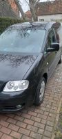 VW Caddy Maxi 7 Sitzer Sachsen-Anhalt - Sandau (Elbe) Vorschau