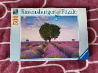 Ravensburger Puzzle Lavendelfeld 500 Teile Landschaft violett Thüringen - Jena Vorschau