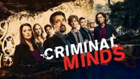 Suche Criminal Minds Staffel 12-17 Gröpelingen - Gröpelingen Vorschau