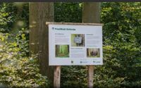 Lüneburg, eigener Baum,3 Urnenplätze FriedWald /  1000 € gespart Niedersachsen - Meinersen Vorschau