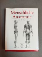 Anatomie für Künstler, Kunstbuch Bayern - Olching Vorschau