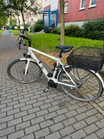 Diamant Beryll Super Deluxe+ 28“ E-Bike - defekt Rostock - Toitenwinkel Vorschau