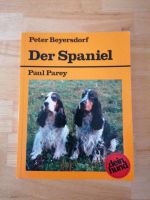 Der Spaniel - Dein Hund zu verschenken Brandenburg - Frauendorf Vorschau