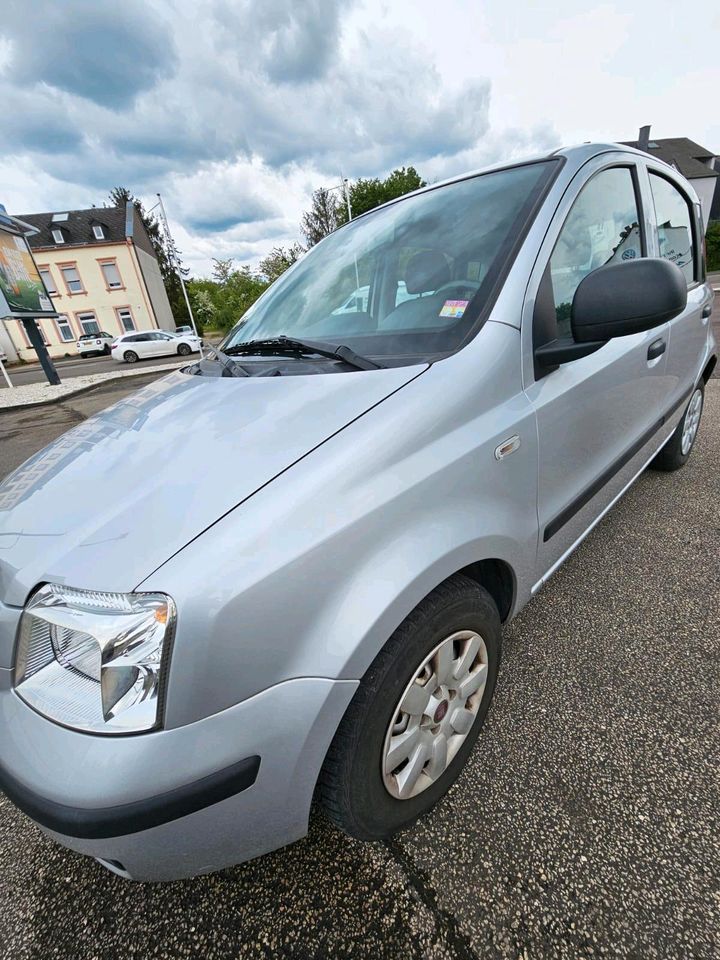 Fiat Panda Automatik 2010 47000km Gelaufen Top Zustand in Trier