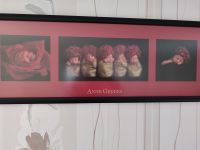 Bild von Anne Geddes 95 x 35 cm Sachsen-Anhalt - Elbingerode (Harz) Vorschau