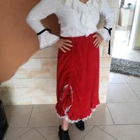 Bluse mit Rock Gr 40 Rheinland-Pfalz - Worms Vorschau