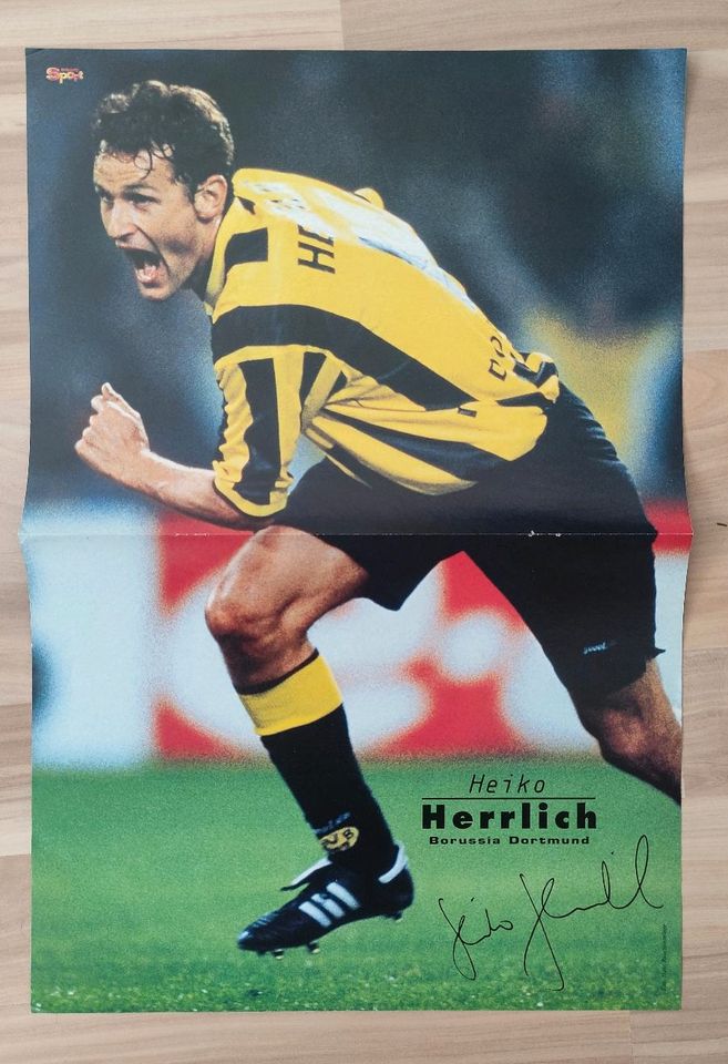 BravoSport Poster Heiko Herrlich 41x28cm Borussia Dortmund BVB in Hamburg