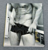 Buch Bildband Fotobuch Fotografie Malerei Kunst gay Male nude Pankow - Prenzlauer Berg Vorschau