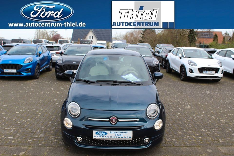 Fiat 500 69PS Hybrid DOLCEVITA Glasdach in Steinfurt