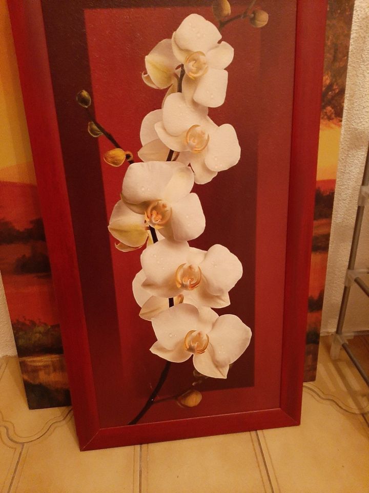 Wandbild Kunstdruck Blumen Orchideen in Laucha an der Unstrut