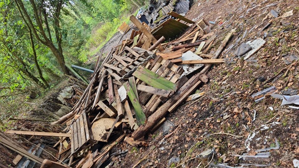 Altholz / Brennholz zu verschenken in Salzbergen