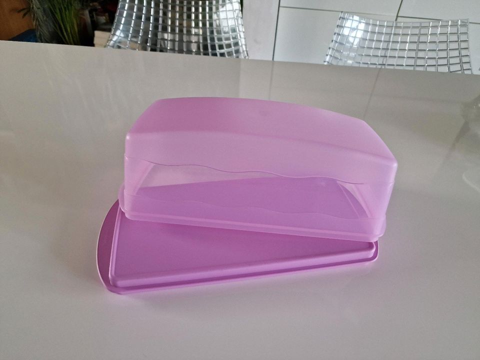 Tupperware Junge Welle Torten Kuchen Behälter - Neu in Nürnberg (Mittelfr)