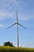 Ackerland Grünland Wiese für Windkraftanlage Windenergie Thüringen - Erfurt Vorschau