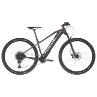 FOCUS Raven 2 Fazua 29" Pedelec Mountainbike E-MTB E-Bike Sachsen - Chemnitz Vorschau