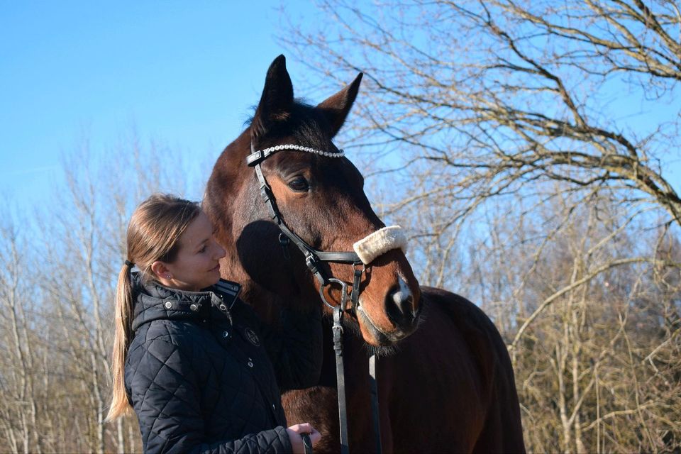 Pflegebeteiligung, evtl. Reitbeteiligung ❤️ in Wald Oberpf.