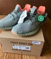 adidas Yeezy Boost 350 V2 Desert (EU 43 1/3) ❗️deadstock ❗️ Hessen - Eschborn Vorschau