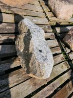 Nordische Findlinge Granit Niedersachsen - Haselünne Vorschau