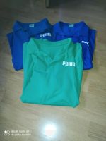 Herren Poloshirts von Puma Größe xl Vahr - Gartenstadt Vahr Vorschau