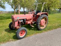 McCormick D-432 Bulldog Bayern - Forstinning Vorschau