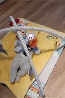 Fisher Price 5 Sinnes Spieldecke Spielbogen Otter Faultier Nordrhein-Westfalen - Waltrop Vorschau