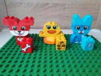 Lego Duplo meine ersten Tiere Nordrhein-Westfalen - Kamen Vorschau