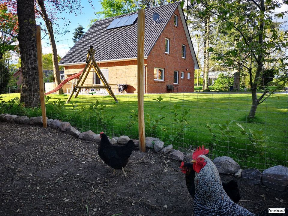 Ferienhaus des Jahres 2024 - Ferienhaus Hünzingen in Walsrode