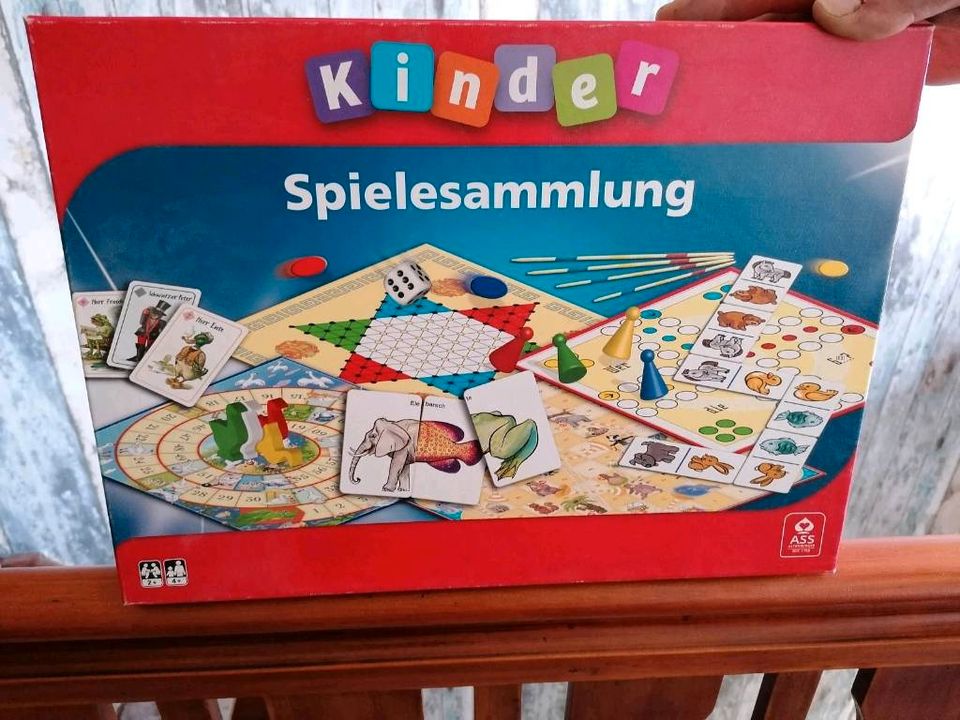 Spielesammlung,Puzzle, Pfadfinderspiel, auf Schatzjagt , Affenact in Langwedel