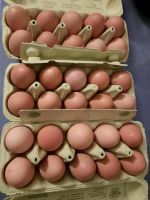Frische Eier Thüringen - Gerstungen Vorschau