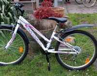 Adventure 24'' Mountainbike Fahrrad Niedersachsen - Osterholz-Scharmbeck Vorschau