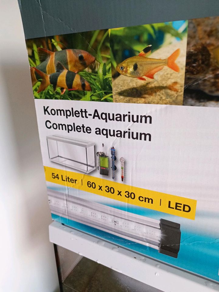 Eheim Aquarium-Set inkl. Aufstellmöbel und Ausstattung in Rüber