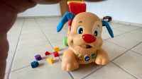 Fisher Price Hund Nordrhein-Westfalen - Gütersloh Vorschau